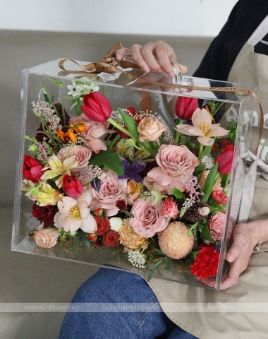 Vali trong suốt: CIDER