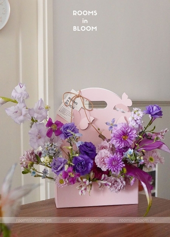 Giỏ hoa cánh bướm Carolina