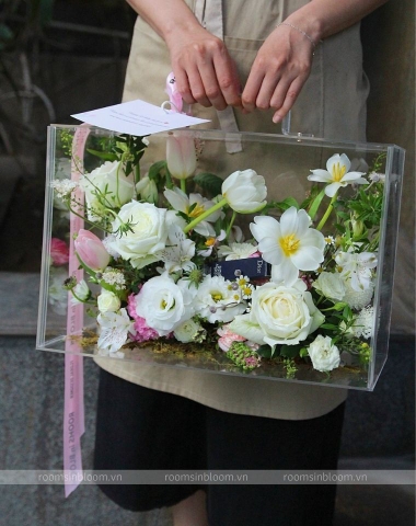 Vali trong suốt: UNDERBERG SNOW