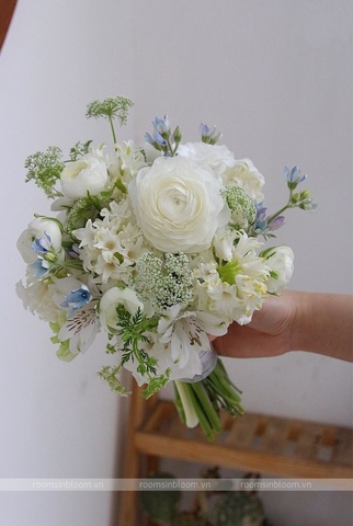 Hoa cưới tròn: Velia