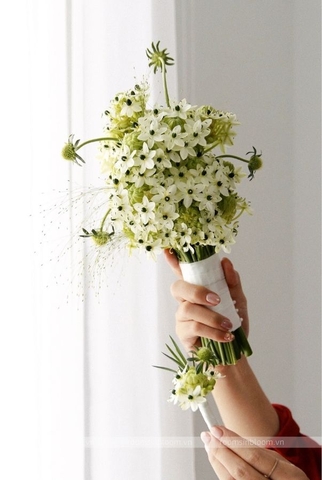 Hoa cưới Posy: Tullia