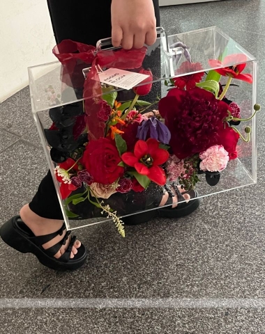 Vali trong suốt: BORDEAUX