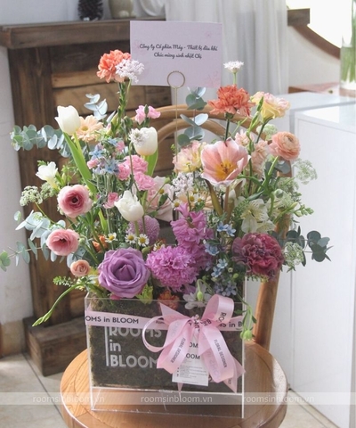 Garden Pot: VERONICA