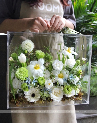 Vali trong suốt: THE GREEN LIGHT