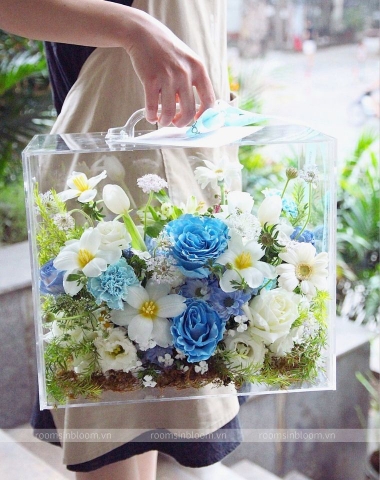 Vali trong suốt: QUILT BLUE