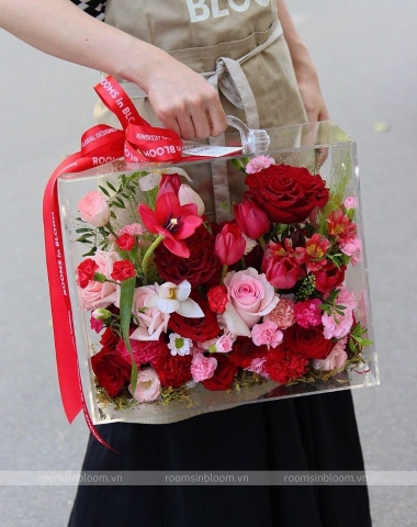 Vali trong suốt: VENETIAN 1