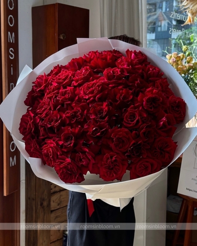 Redamancy 9 (50 Roses)