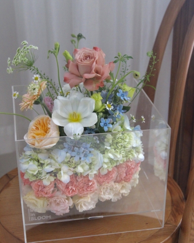 Hộp hoa bánh kem BERRIES COLLECTION