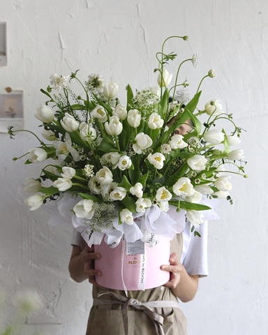 Box hoa Tulip Elaine