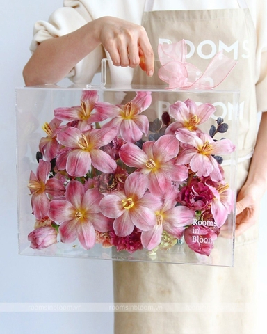 Vali trong suốt: Piano Pink