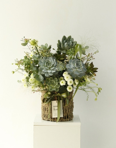 Succulent basket 3