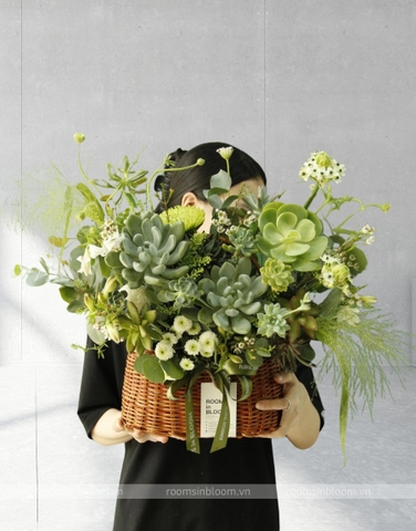 Succulent basket 4