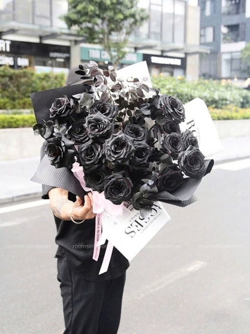 BLACK roses Livia ( 20 Black Roses )