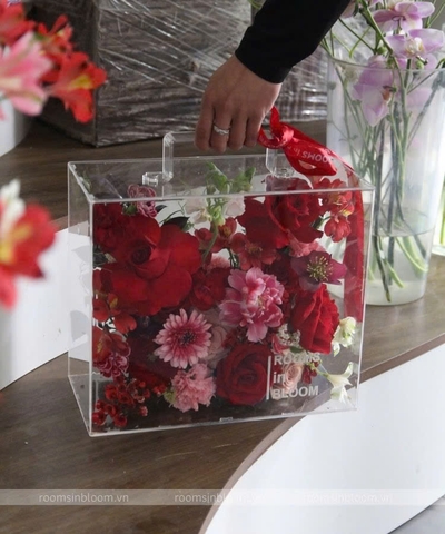 Vali trong suốt: Adèle