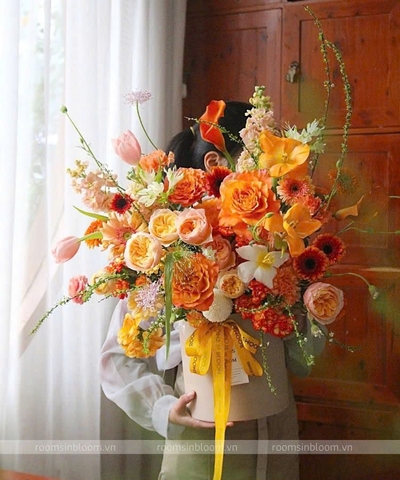 Orange Box: Jimena Sun