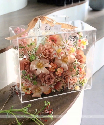 Vali trong suốt: Amélie Brown