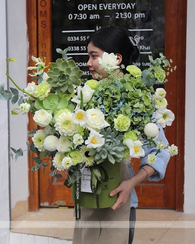 Blanche Green Clouds