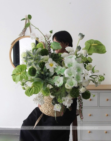 Noémie Green Forest