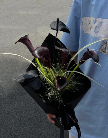 W-Leonora Black Calla Lily