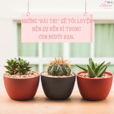 NHỮNG “BÀI THI” SẼ TÔI LUYỆN NÊN SỰ BỀN BỈ TRONG CON NGƯỜI BẠN