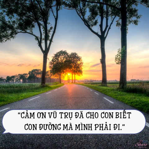 CẢM ƠN VŨ TRỤ ĐÃ CHO CON BIẾT CON ĐƯỜNG MÀ MÌNH PHẢI ĐI