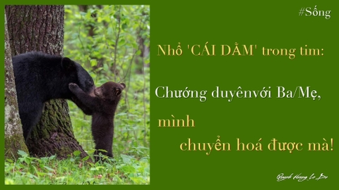 NHỔ ‘CÁI DẰM’ TRONG TIM: CHƯỚNG DUYÊN VỚI BA/MẸ, MÌNH CHUYỂN HÓA ĐƯỢC MÀ!