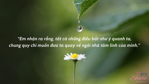 TỪ BẠN HỮU DUYÊN: TẤT CẢ NHỮNG ĐIỀU BẤT NHƯ Ý CHUNG QUY CHỈ MUỐN ĐƯA TA VỀ NGÔI NHÀ TÂM LINH CỦA MÌNH