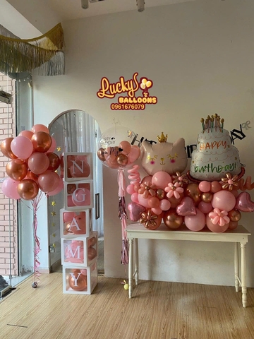 Combo Bóng Bay Sinh Nhật Cho Bé Hà Nội