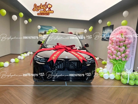 HOA BÓNG BAY MẪU LỄ BÀN GIAO XE ĐẸP