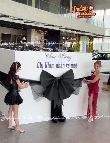 Hộp Quà Bóng Bay Bàn Giao Xe Ô Tô BMW
