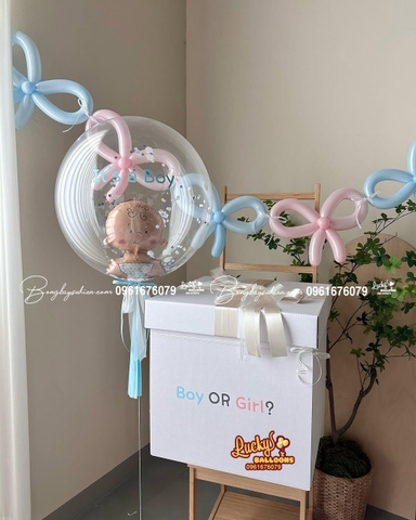 Hộp Quà Bóng Bay Chọn Giới Tính Boy or Girl 1