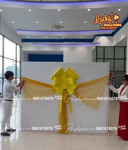 Hộp Quà Bóng Bay Giao Xe Ô Tô Hà Nội