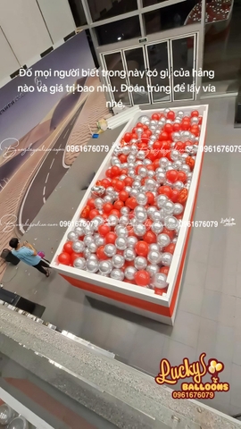 Hộp Quà Bóng Bay Lễ Nhận Xe Ô Tô Hà Nội