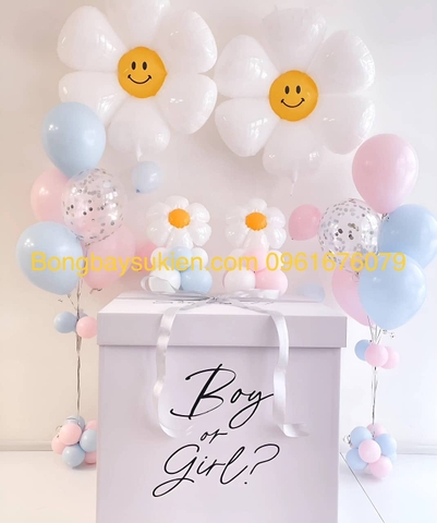 Hộp Quà Bóng Đoán Giới Tính Boy Or Girl 1