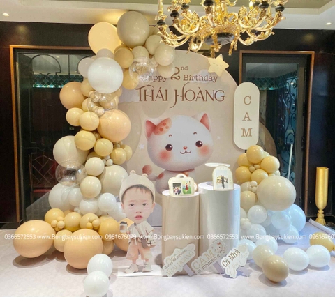 Ý Tưởng Trang Trí Sinh Nhật Bé Trai 1 Tuổi