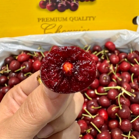 Cherry Úc mùa mới