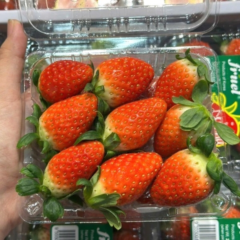 Dâu tây Hàn Quốc 250g