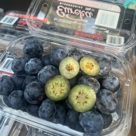 Việt quất Úc nhập khẩu chính ngạch