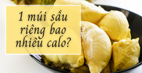 1 múi sầu riêng bao nhiêu calo? Ăn sầu riêng có béo không?