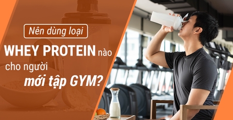 Nên dùng loại Whey Protein nào cho người mới tập Gym?