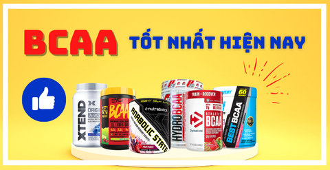 Top 6 loại BCAA tốt nhất hiện nay cho người tập thể hình