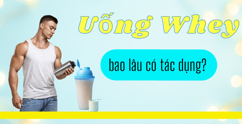 Uống Whey bao lâu có tác dụng? Cách uống whey hiệu quả