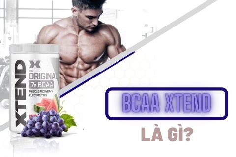 Xtend BCAA là gì? Hướng dẫn sử dụng BCAA Xtend chuẩn