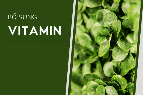 Khi cần bổ sung vitamin, cơ thể bạn nói gì?