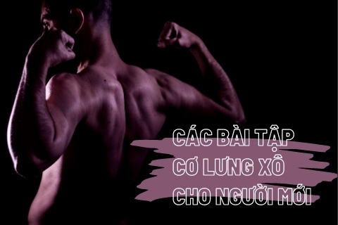 Hướng dẫn chi tiết các bài tập lưng xô cho người mới tập gym