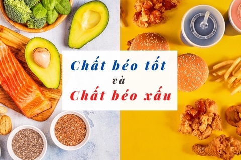 Chất béo tốt và chất béo xấu: Tất cả những gì bạn cần biết 