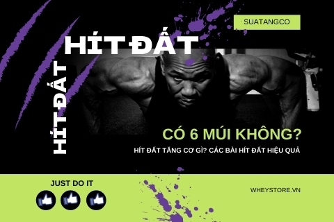 Hít đất có 6 múi không? Hít đất tăng cơ gì? Cách hít đất hiệu quả