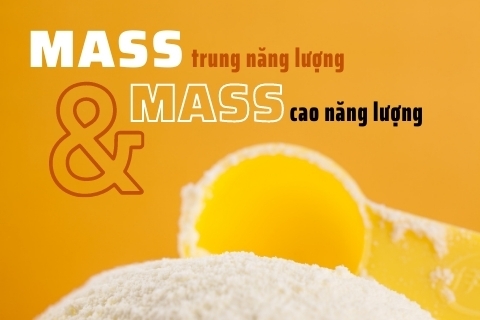 Mass trung năng lượng và mass cao năng lượng: Người gầy nên uống loại nào?