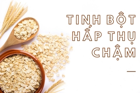 Tinh bột hấp thụ chậm - Xu hướng sử dụng lương thực thông minh