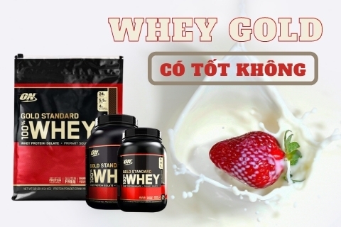 Whey Gold có tốt không? Đánh giá chất lượng Whey Gold Standard